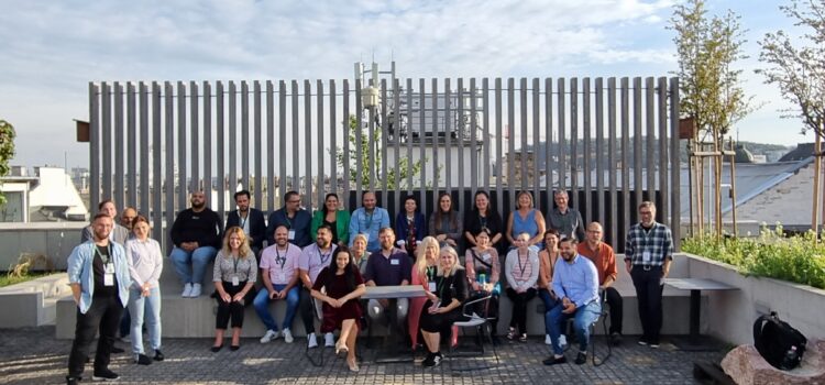 First Roma Civil Monitor 2 Workshop for the NGOs